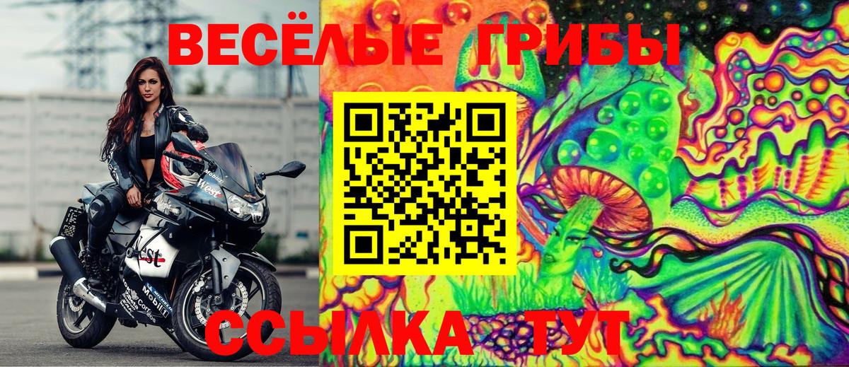 Галлюциногенные грибы мицелий  Вход с VPN  Нижний Новгород 