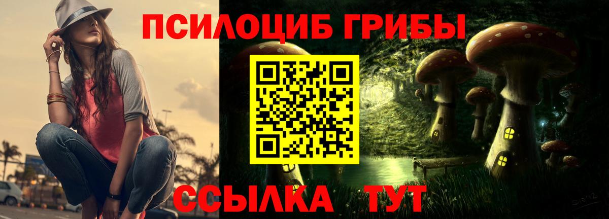 Галлюциногенные грибы Magic Shrooms Нижний Новгород